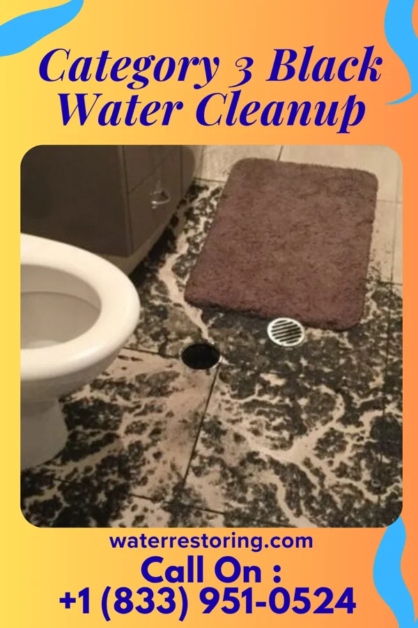Category 3 Black Water Cleanup in Tortugas, NM