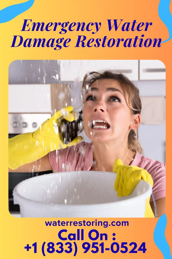 Emergency Water Damage Restoration in Tortugas, NM
